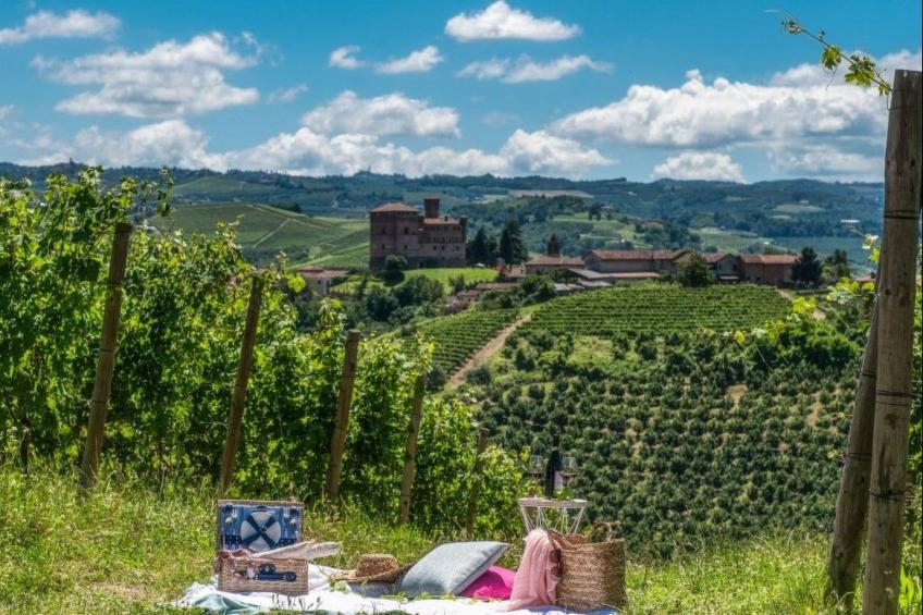 Mondmuscheln - foto 55