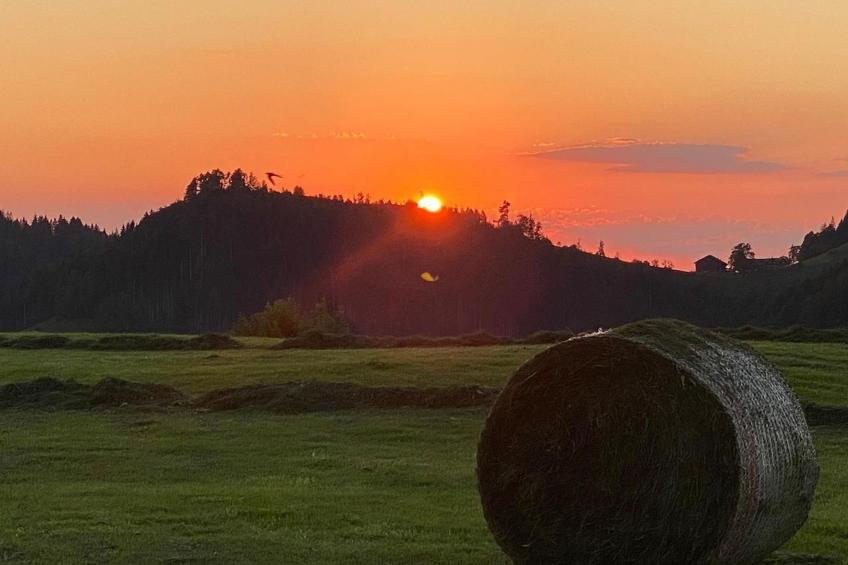 Alpakahof Ferien - foto 19