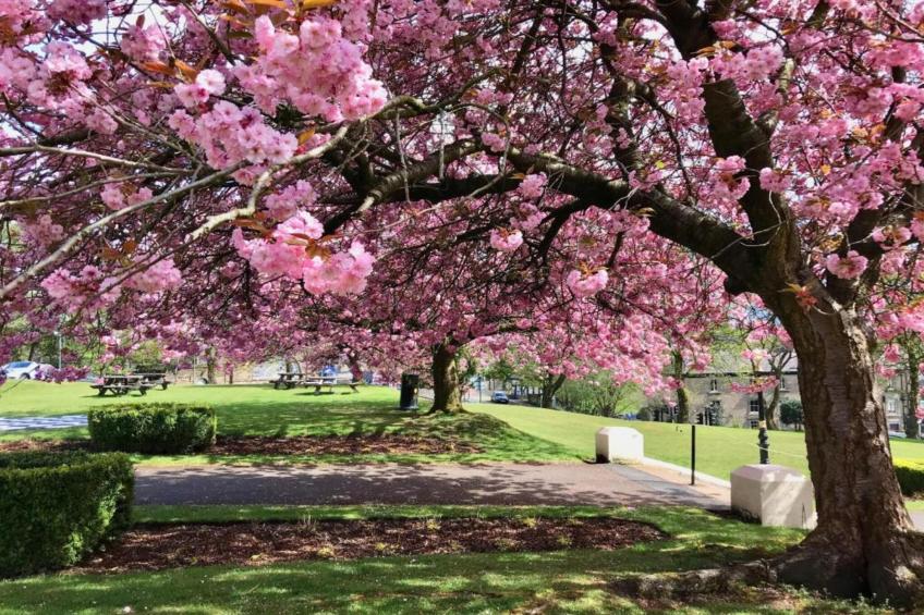 The Old Post Office Apartment 2 - foto 17