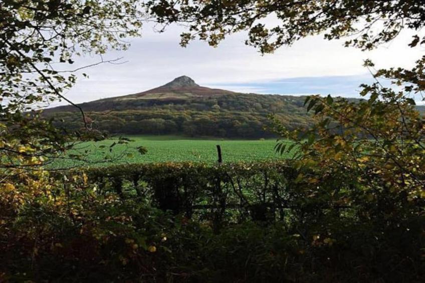 Ingleby Manor - Gun Room - foto 15