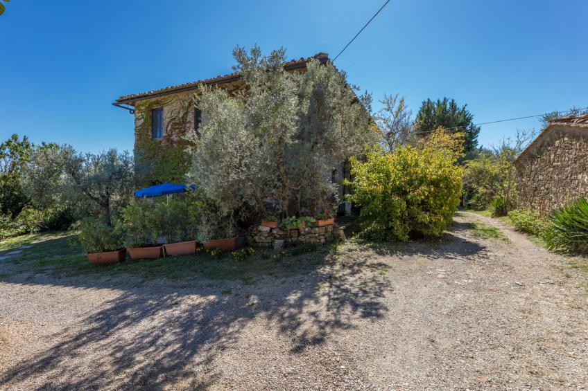 La Foresta - foto 10