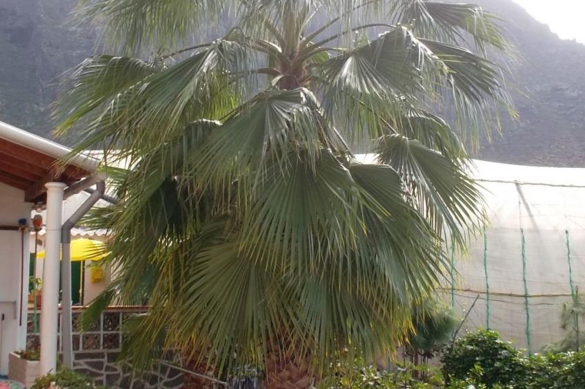 Haus El Cardón A2 - foto 60