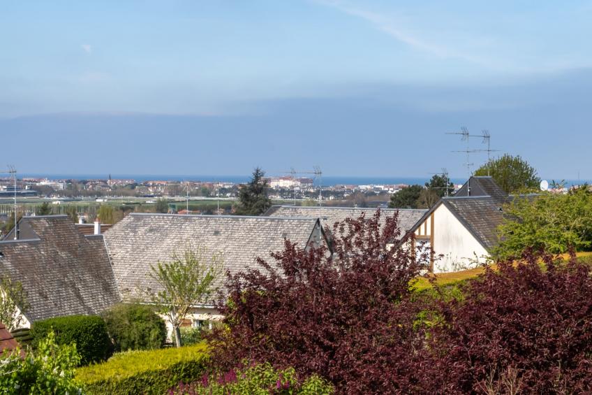 Les Jonquilles - foto 25