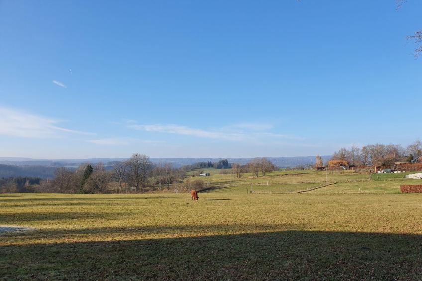 Eifel Oase - foto 23