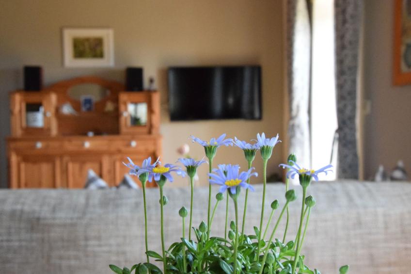 Charmant trifft Moderne - Ferienwohnung Linde - foto 6