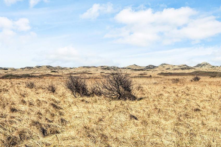 Skovhytte 4 personer - foto 29