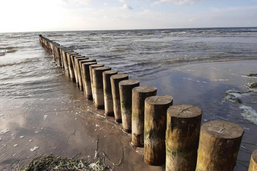 Appartementen Post Hiddensee, Vitte - Type A - foto 13