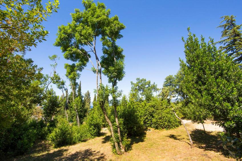 Tiny house Laurel - 70 Meter vom Strand entfernt - foto 53