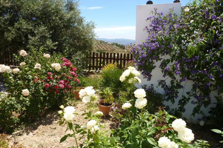 Casa Coqui & Juan Ramón - foto 40