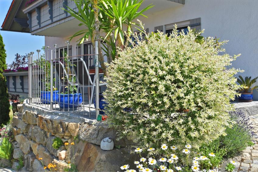 Haus Renate - foto 40