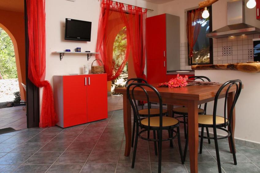 Flache Zeder - foto 8