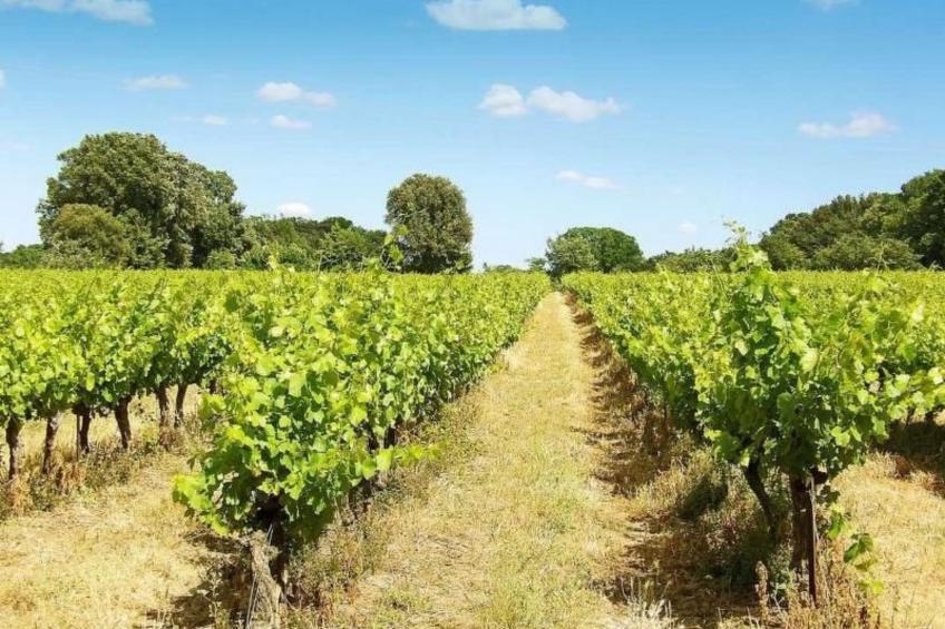 Villa Fleurie - foto 41