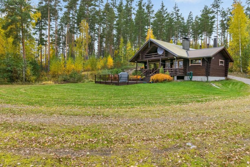 Rantalaukka - foto 7