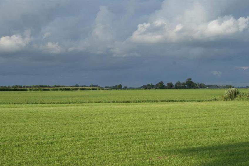 Lauwerspleats - foto 37