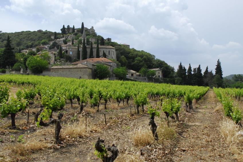 Maisonettewohnung mit Terrasse und Ausblick - foto 18