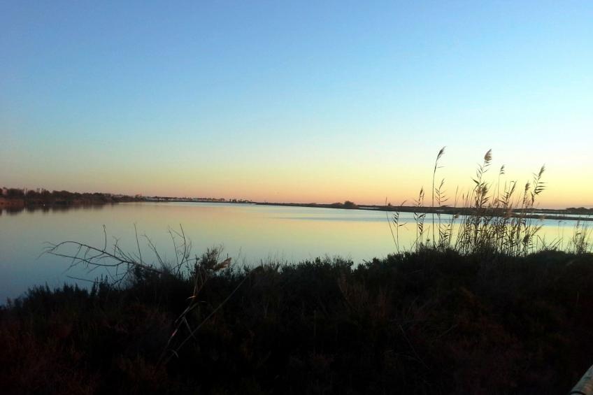 Casa Magdalena, Fincahaus, Hund erlaubt, Pool - foto 17