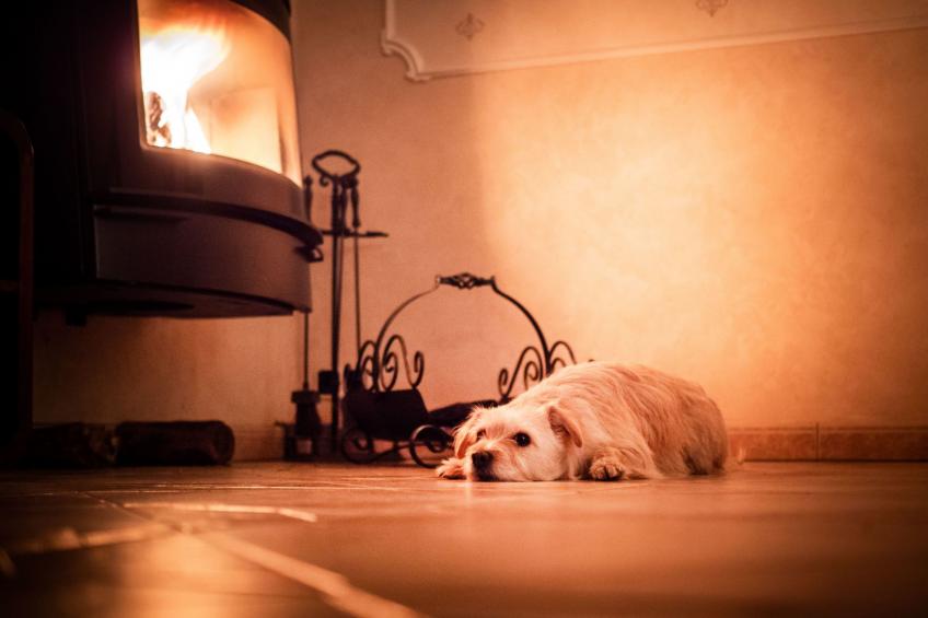 Seeresidenz - foto 5