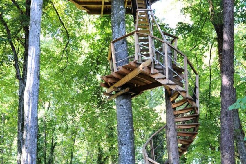 Parc de la Belle - foto 13