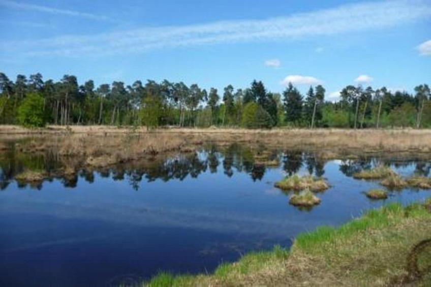 Parc de Kievit - foto 34