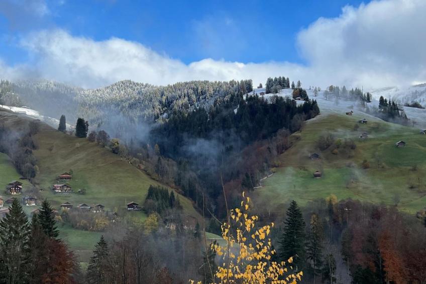 Engel Ingold Lodge Chalet Bärgblümli - foto 89