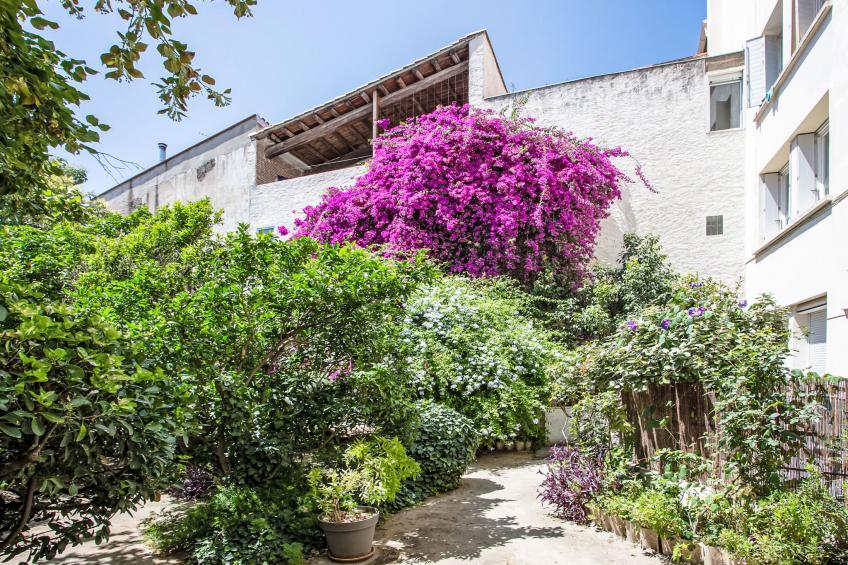 La petite Réal - foto 14