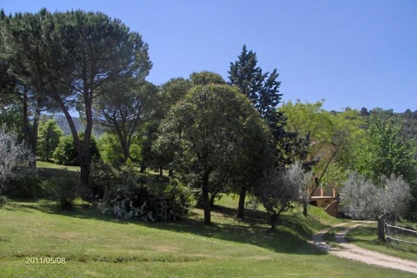 La Licina Ihr Haus auf dem Land "La Ginestra" - foto 7