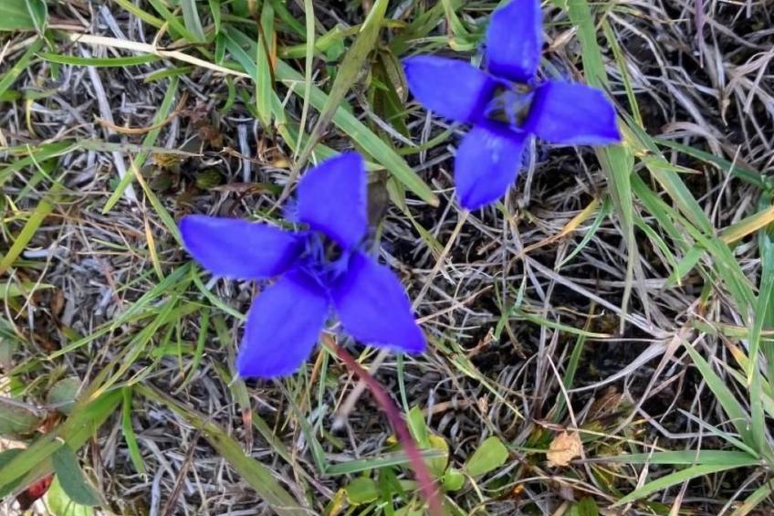 'Casa Casermetta - foto 29