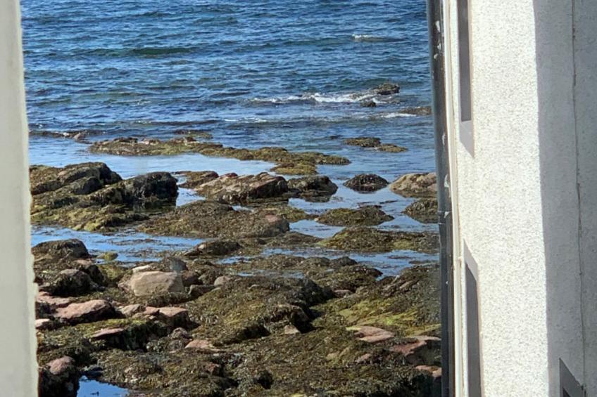 Ellie-Jo Cottage - foto 16