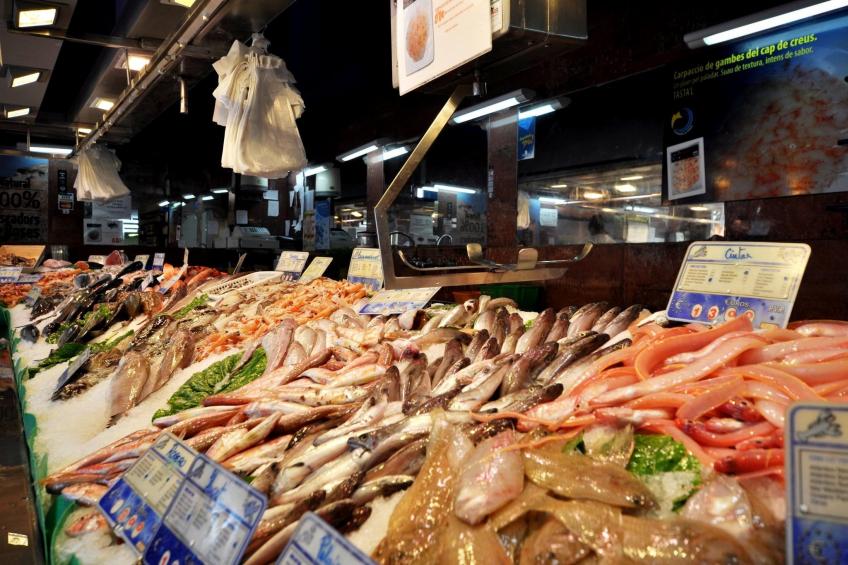 1232 GAUDI 100m PLAYA - foto 20