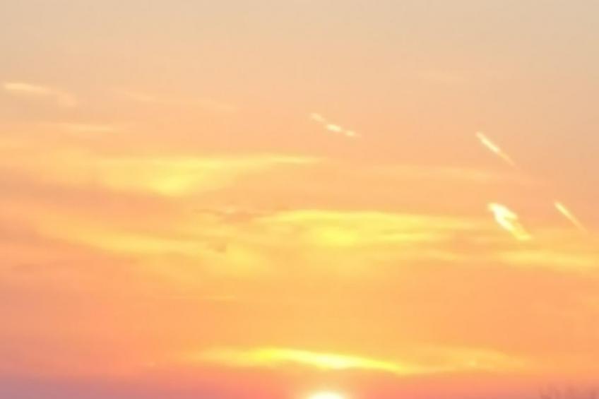 in Pallini mit Eigenem Balkon - foto 37