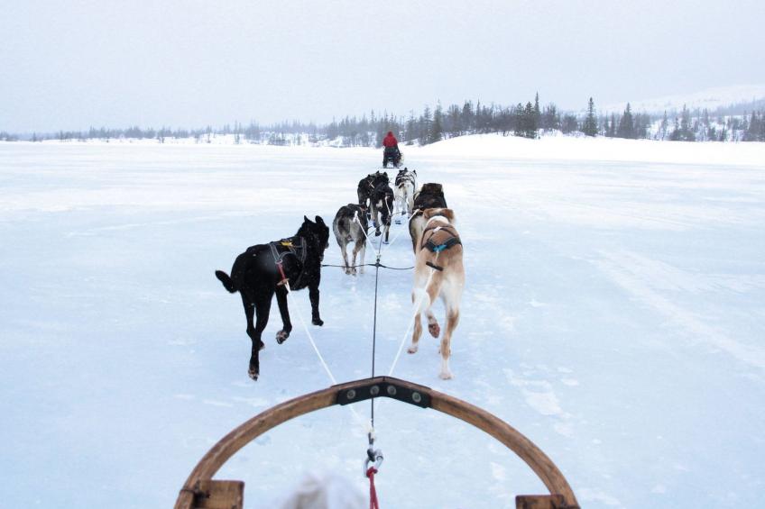 Charmantes modernes Blockhaus mit Kamin - foto 20