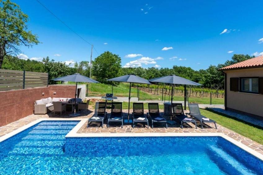 485619 - foto 2
