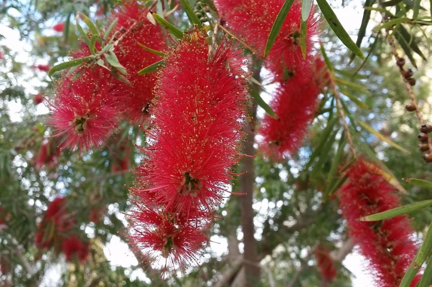 "Jandia" mit Wasserblick - foto 34