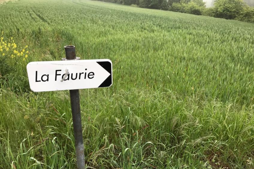 Swimmingpool, Garten, Aussicht, Stille, Kinder, Spielzeug - foto 2