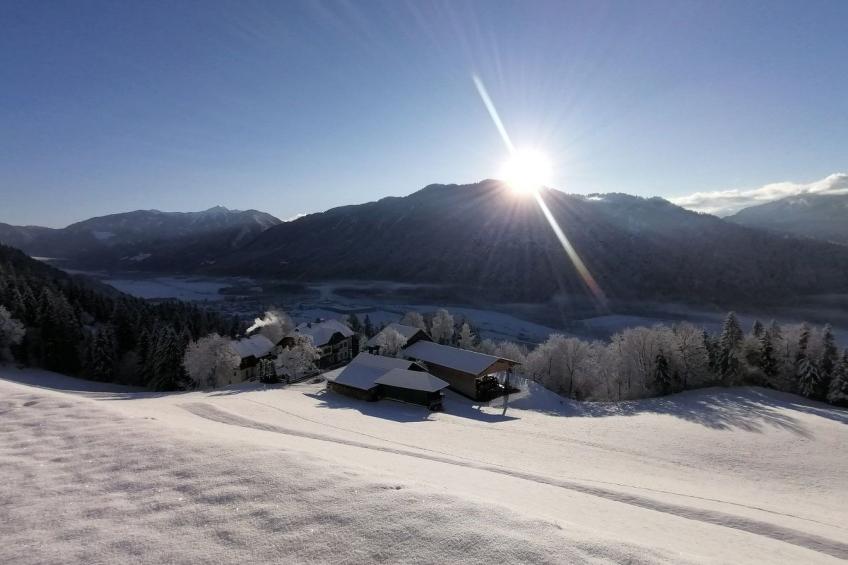 Waldpension in Steinfeld - foto 3