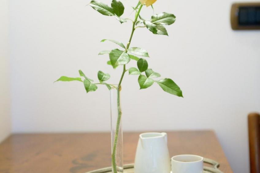 Wohnung 'Rose' mit Terrasse - foto 22