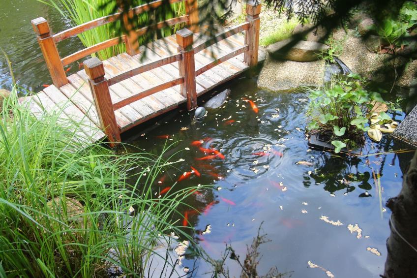 Spree Idyll - foto 20