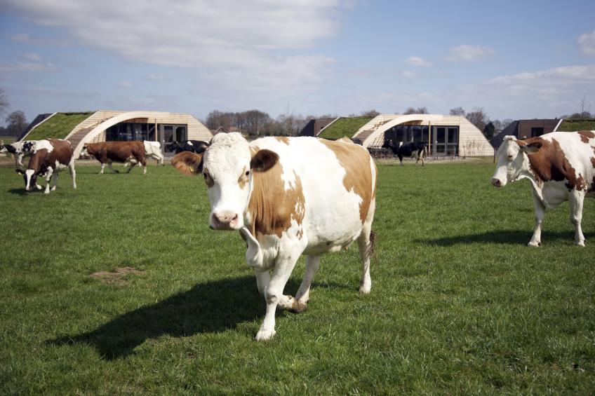 Koe in de Kost 2 - foto 19