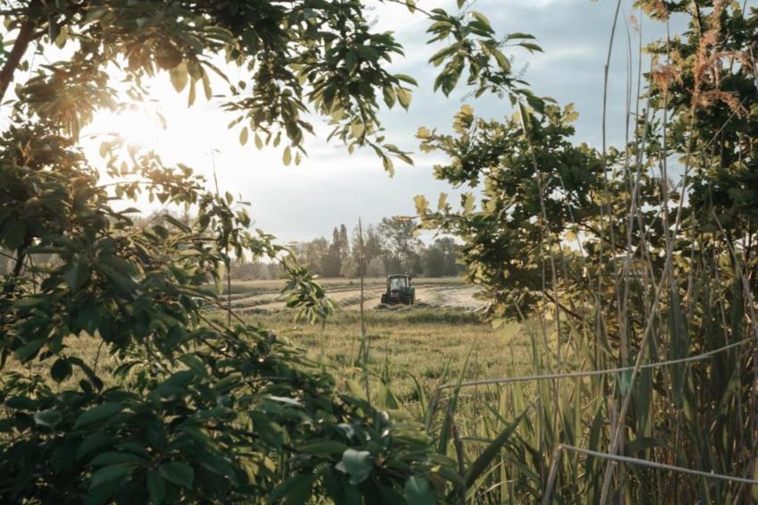 't Granzeke - foto 26