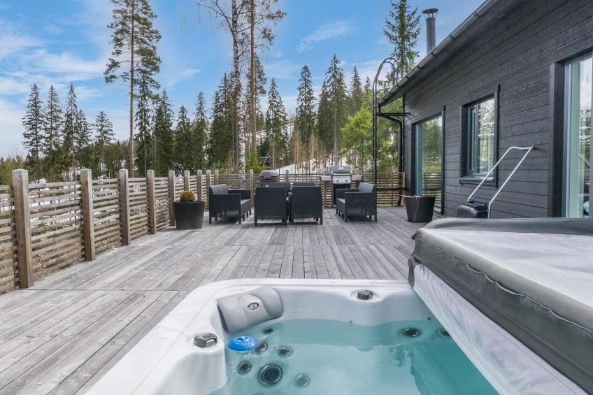 Villa hirvas - foto 17