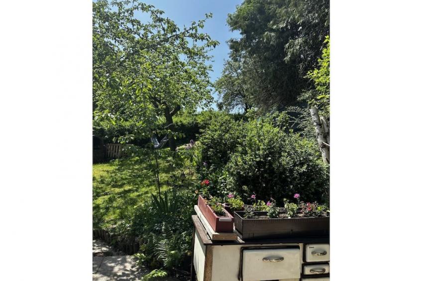 181340 - foto 6