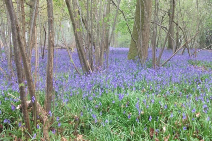 The Bakers Hut - foto 2