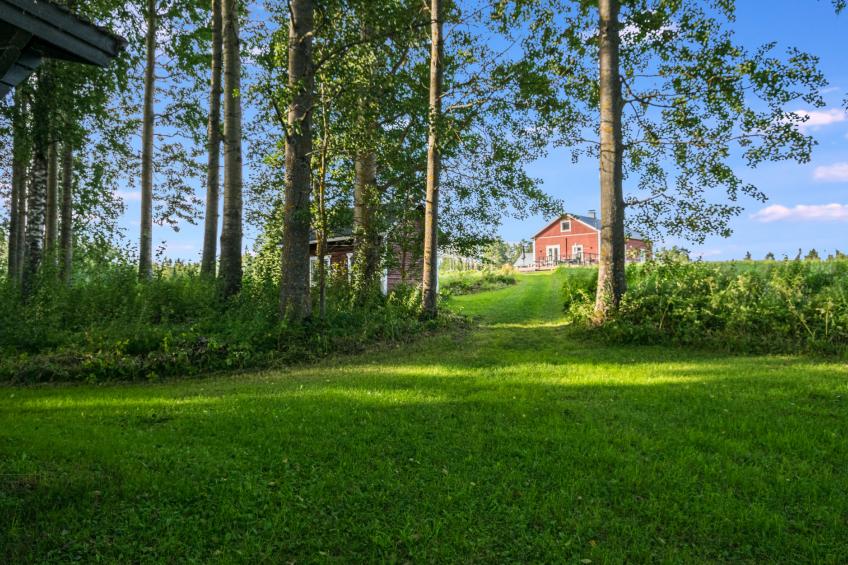 Kekkola - foto 2