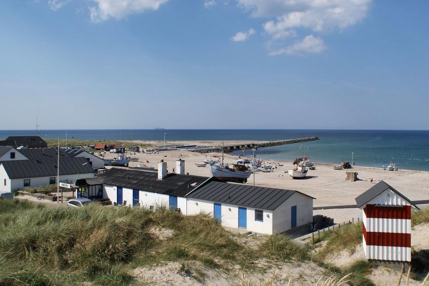 "Engelbertine" - 900m from the sea in NW Jutland - foto 22