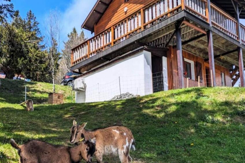 Magnifique Chalet , Vue Sur Le Mont Blanc - foto 48