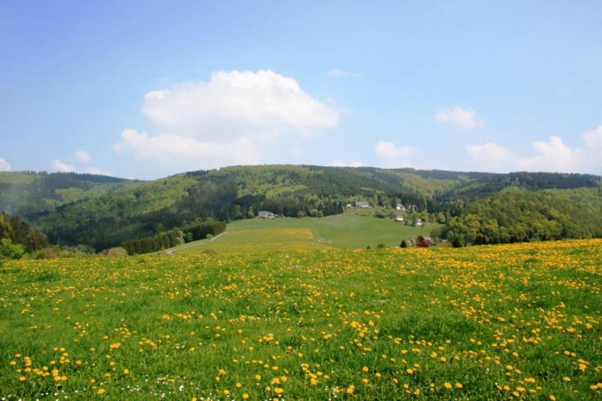 Am Iberg - foto 5