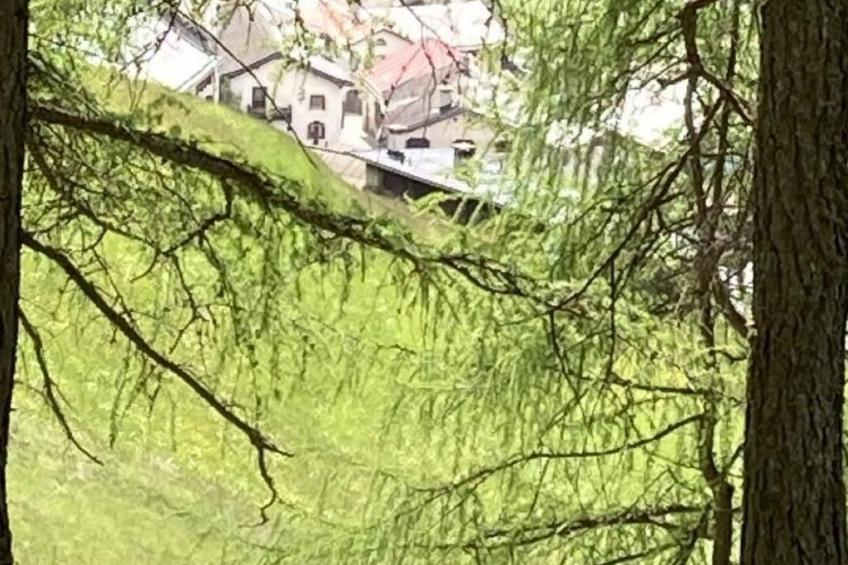 Pensiun Tung - foto 38