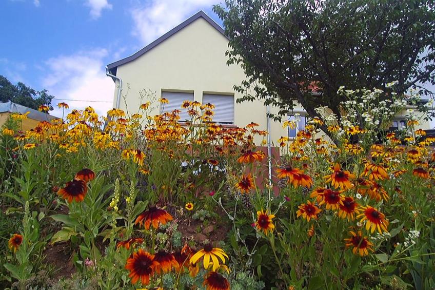 Wohnung du Coucou in Lichtenberg - foto 19