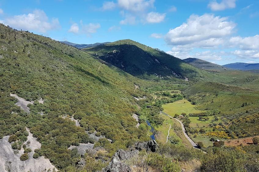 4-Schlafzimmer-Haus mit Schwimmbad - foto 49