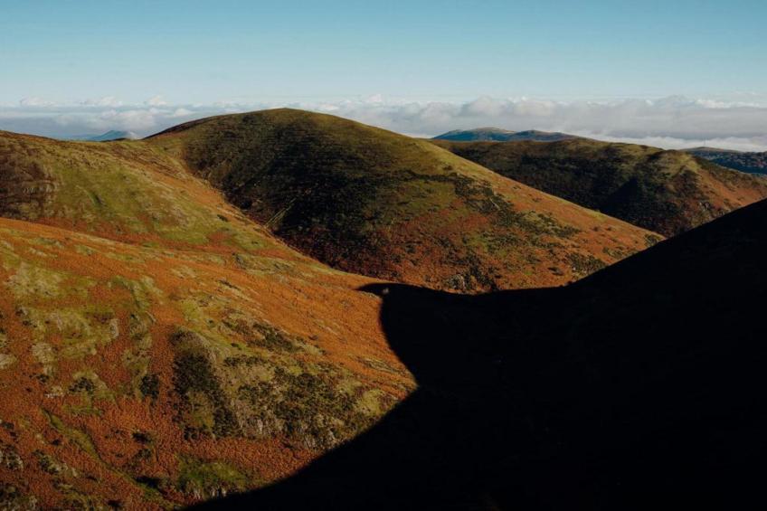 Netley Hall - Rose - foto 25